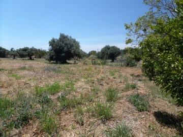 Moradia T5 para Venda em Loule (São Sebastião)