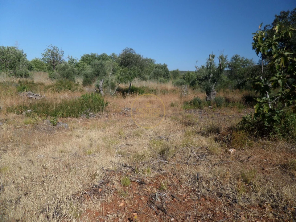 Terreno para Venda em Boliqueime Foto 22