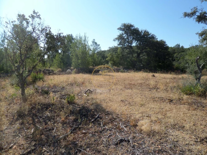 Terreno para Venda em Boliqueime Foto 19