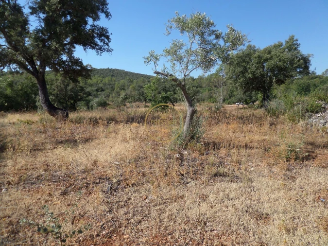 Terreno para Venda em Boliqueime Foto 20