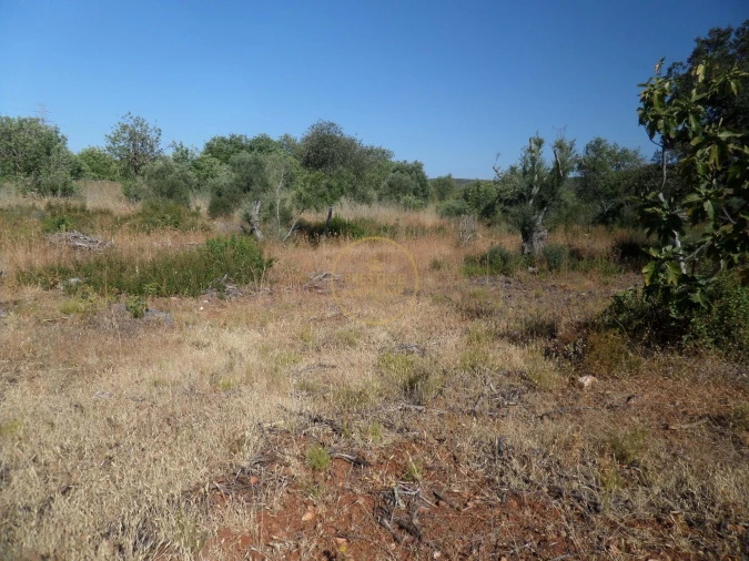 Terreno para Venda em Boliqueime Foto 22