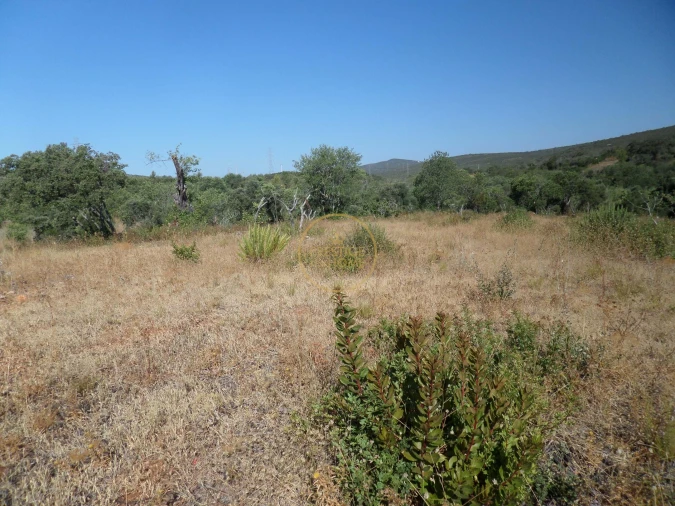 Terreno para Venda em Boliqueime Foto 21