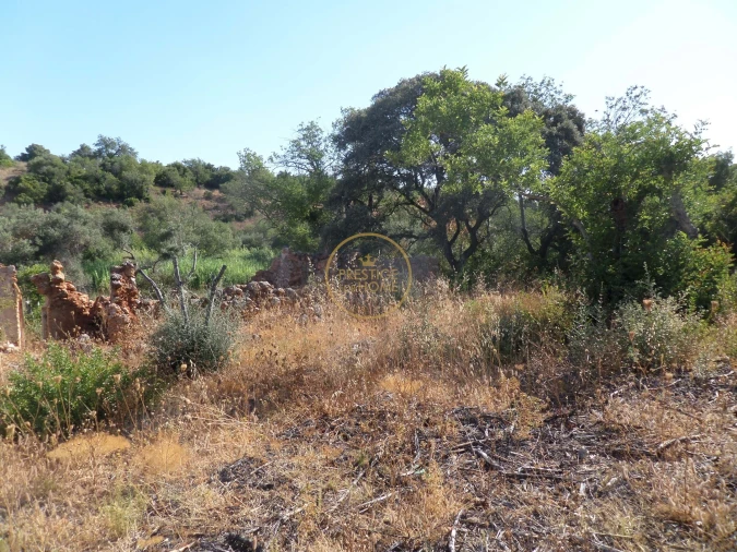 Terreno para Venda em Boliqueime Foto 16