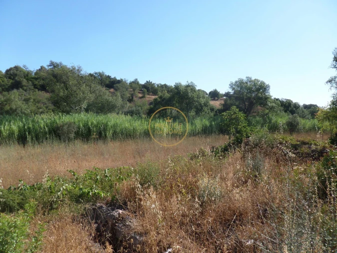 Terreno para Venda em Boliqueime Foto 8