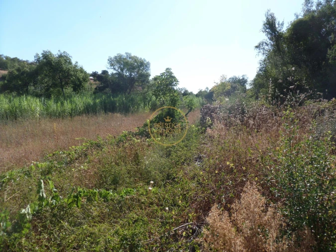 Terreno para Venda em Boliqueime Foto 11
