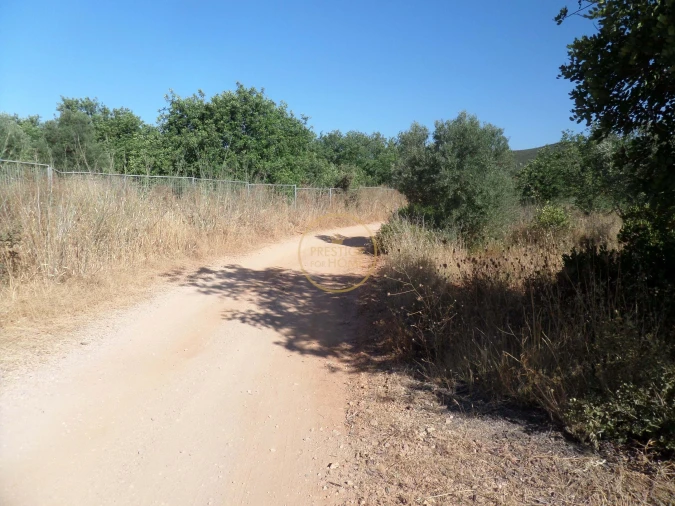 Terreno para Venda em Boliqueime Foto 5