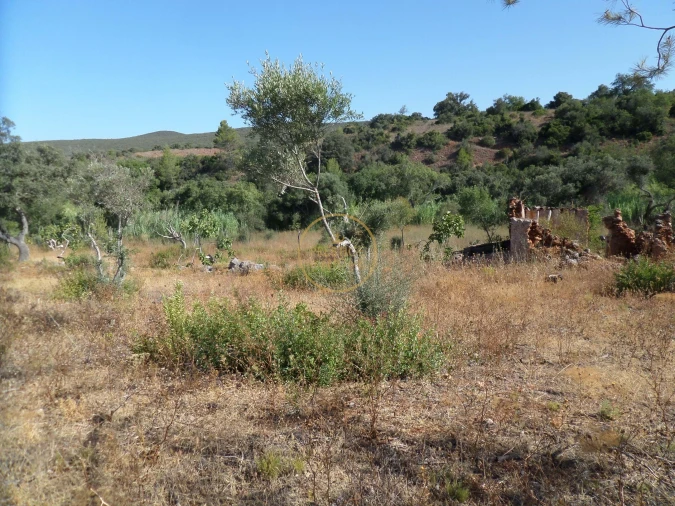 Terreno para Venda em Boliqueime Foto 18
