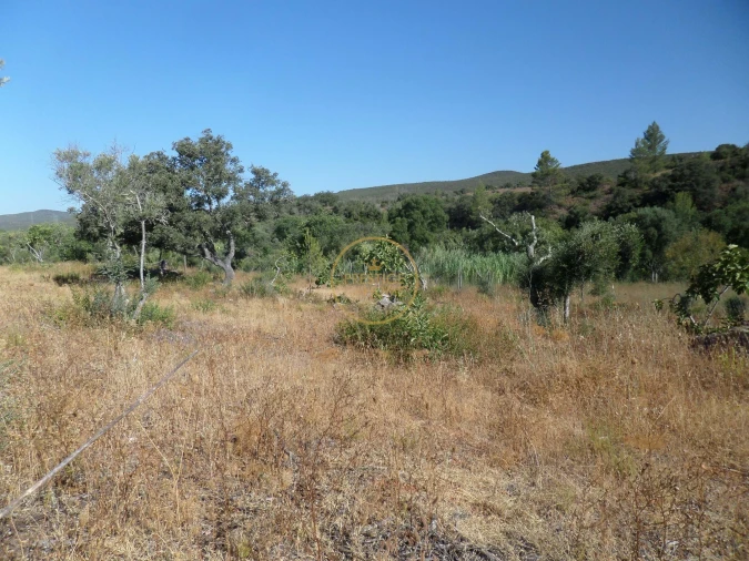 Terreno para Venda em Boliqueime Foto 14