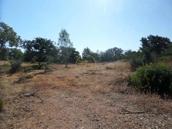 Terreno para Venda em Boliqueime Foto 24