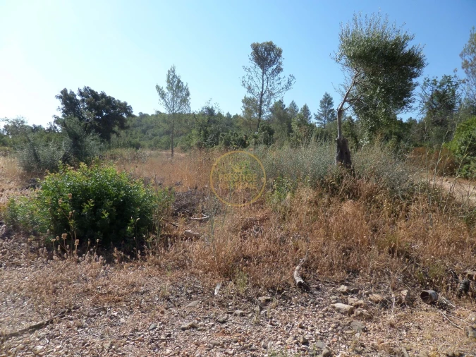 Terreno para Venda em Boliqueime Foto 25