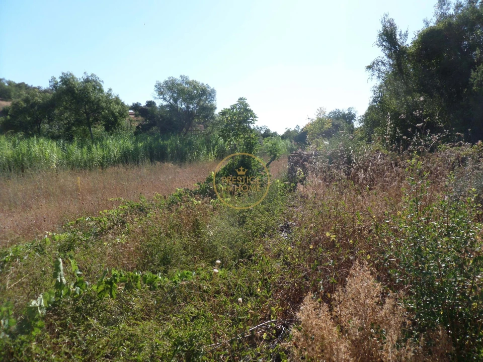 Terreno para Venda em Boliqueime Foto 11