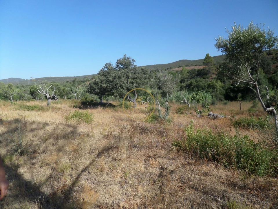 Terreno para Venda em Boliqueime Foto 17
