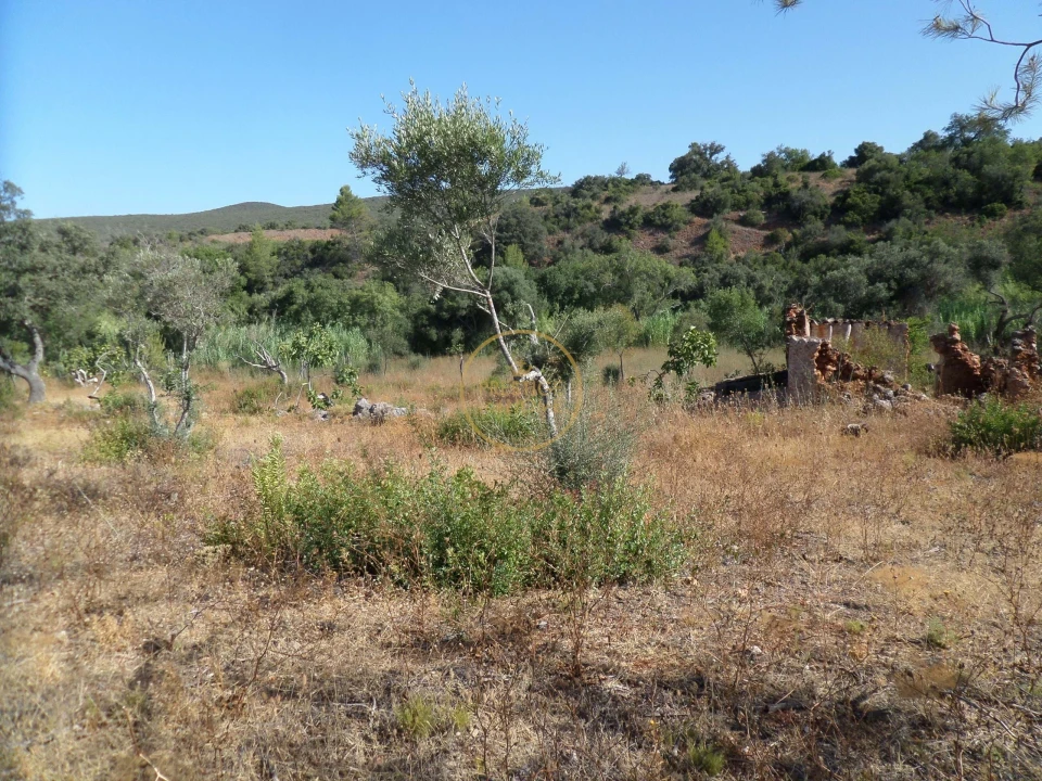 Terreno para Venda em Boliqueime Foto 18