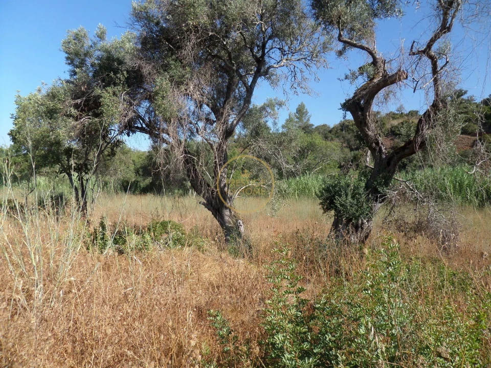 Terreno para Venda em Boliqueime Foto 10
