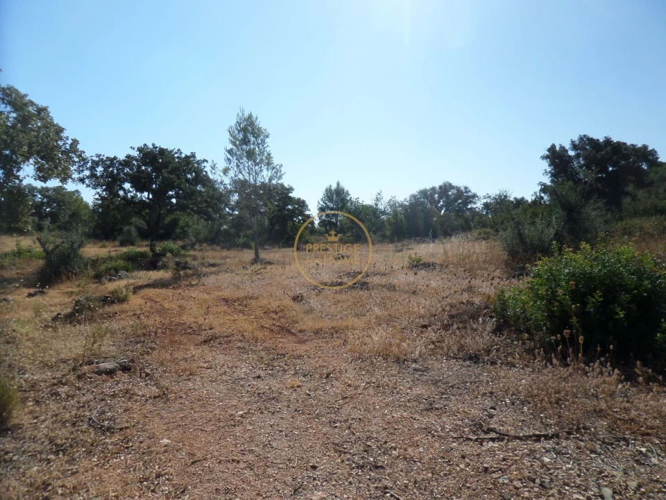 Terreno para Venda em Boliqueime Foto 24