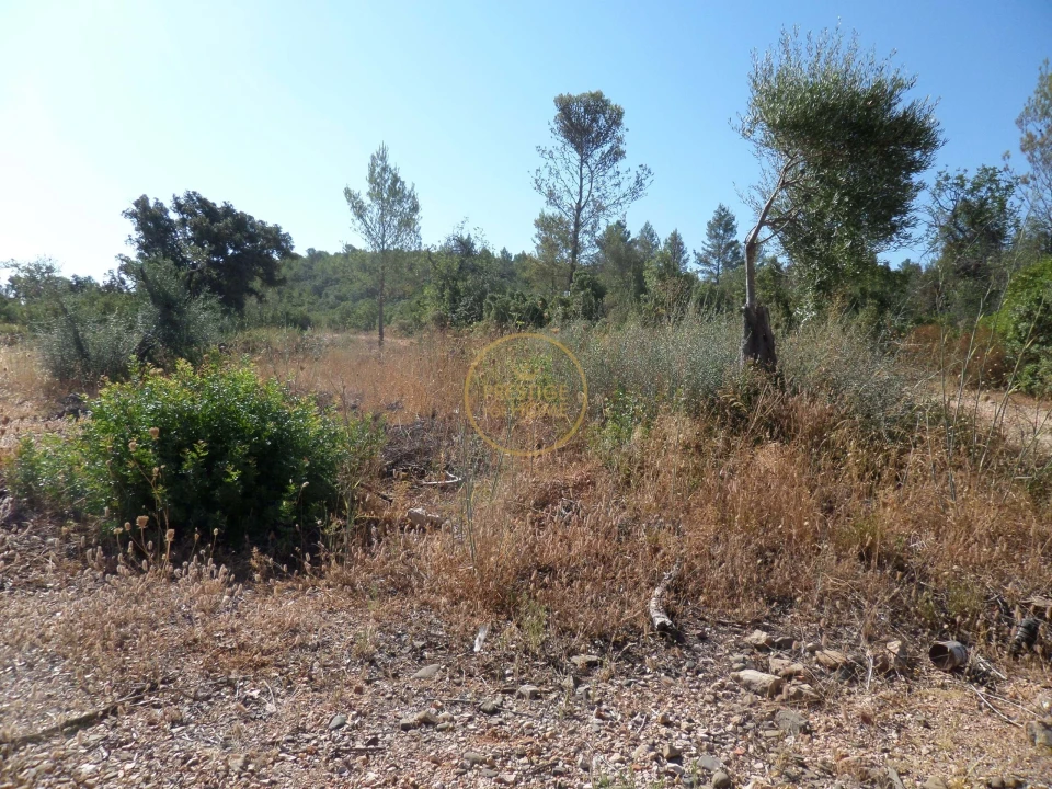 Terreno para Venda em Boliqueime Foto 25