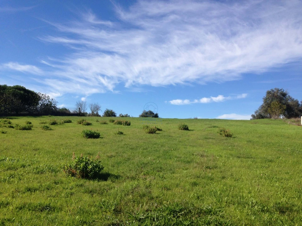 Terreno para Venda em Alfarelos Foto 6
