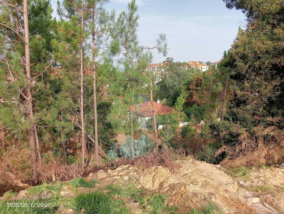 Terreno para Venda em Leiria, Pousos, Barreira e Cortes Foto 8