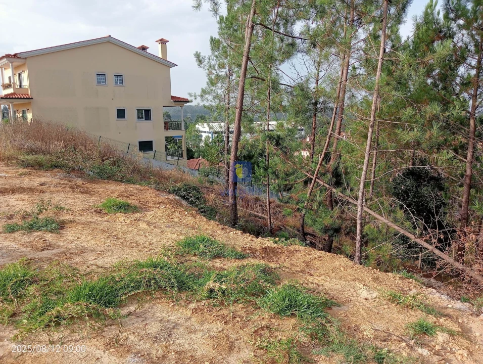 Terreno para Venda em Leiria, Pousos, Barreira e Cortes Foto 9