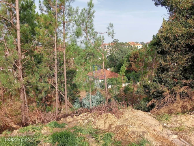 Terreno para Venda em Leiria, Pousos, Barreira e Cortes Foto 8