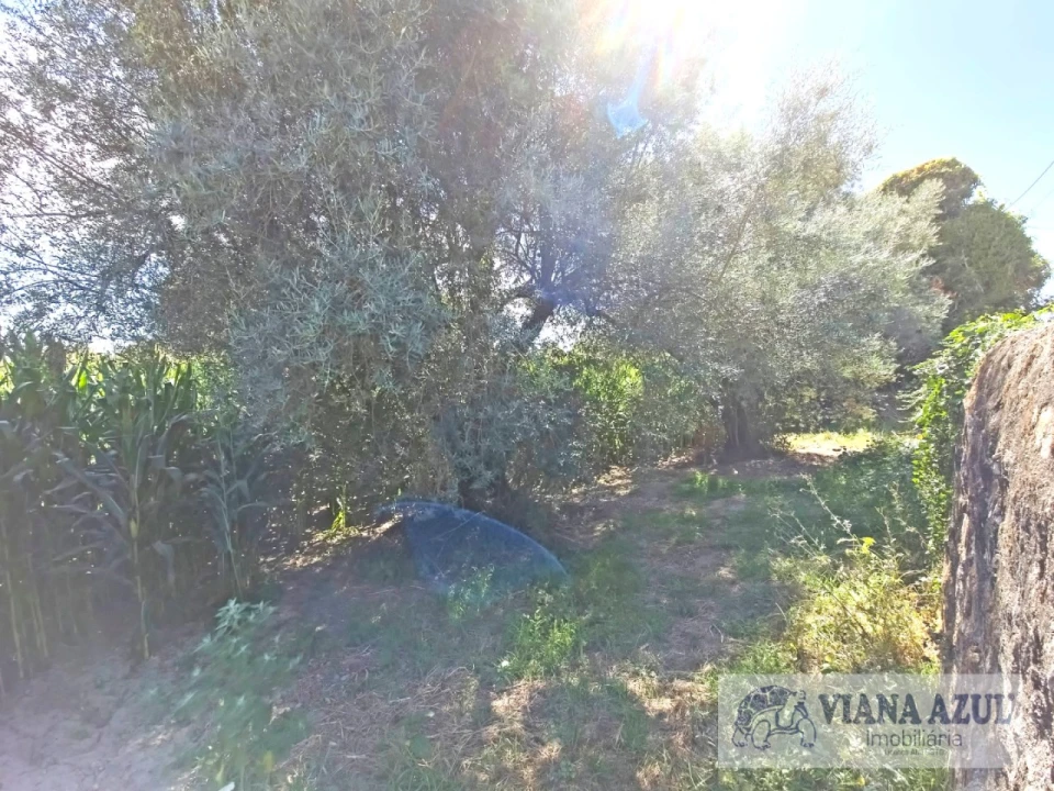 Terreno para Venda em Cardielos e Serreleis Foto 8