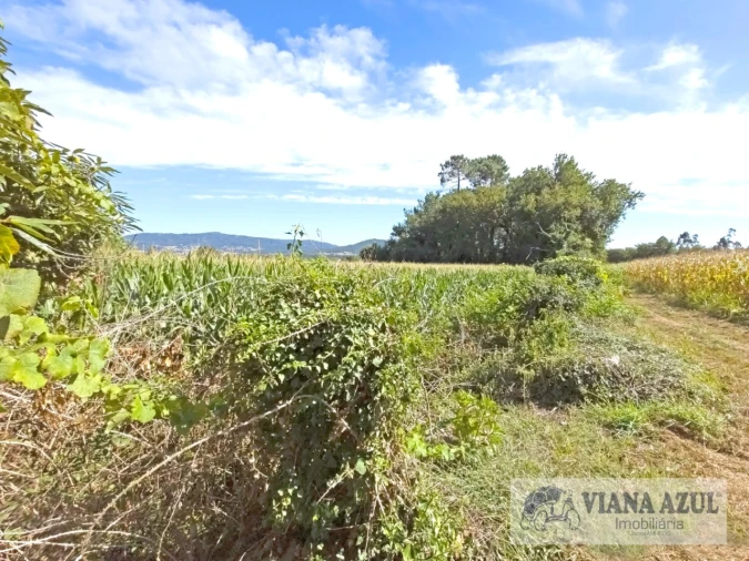 Terreno para Venda em Cardielos e Serreleis Foto 5