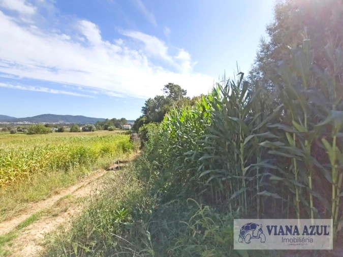 Terreno para Venda em Cardielos e Serreleis Foto 6