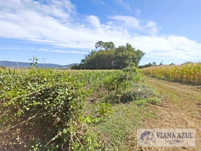 Terreno para Venda em Cardielos e Serreleis Foto 7