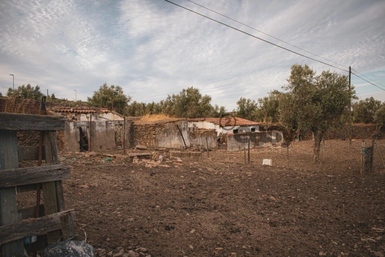 Terreno Misto para Venda em Portel Foto 3