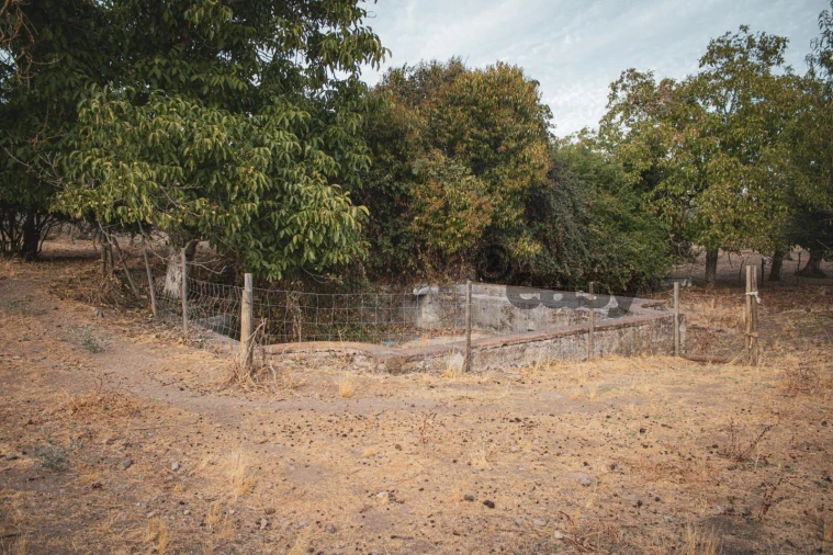 Terreno Misto para Venda em Portel Foto 6