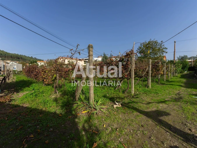 Terreno para Venda em Infias Foto 8