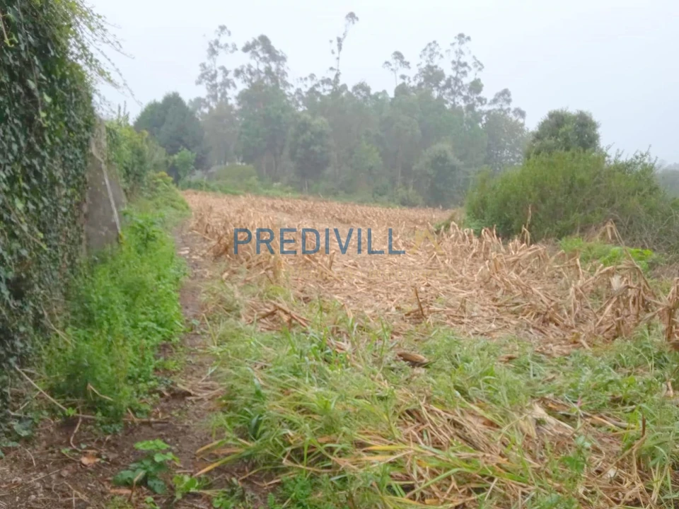 Terreno Misto para Venda em Vilar e Mosteiró Foto 5