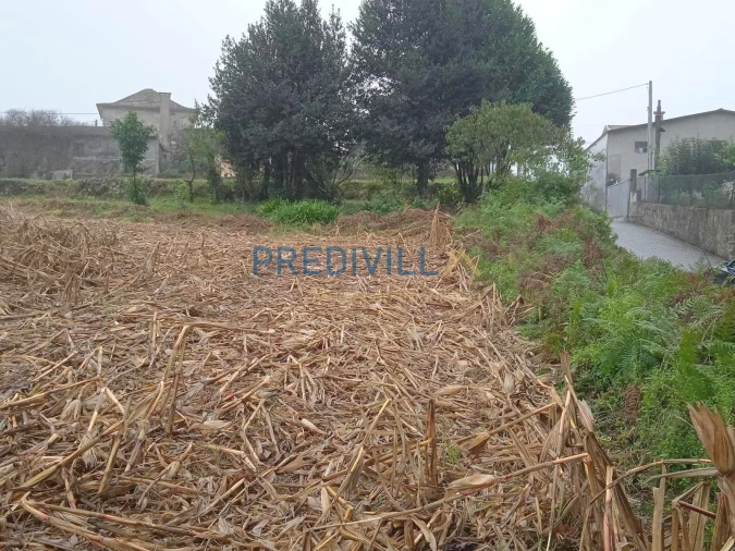 Terreno Misto para Venda em Vilar e Mosteiró Foto 9