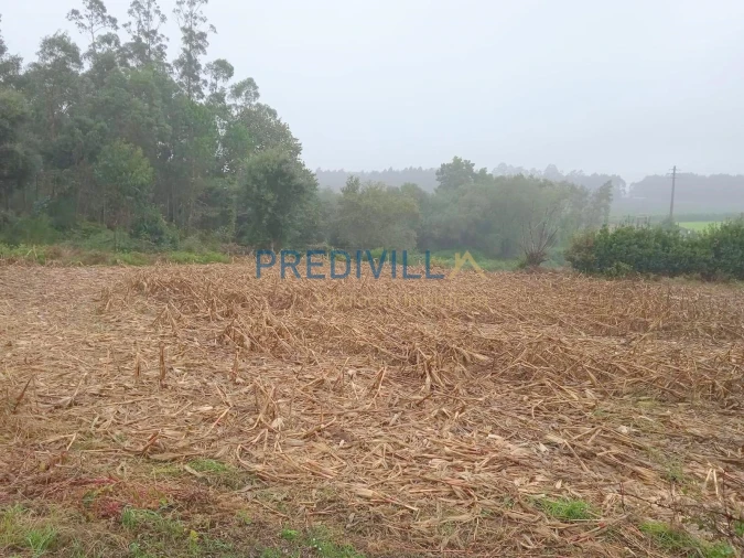 Terreno Misto para Venda em Vilar e Mosteiró Foto 4