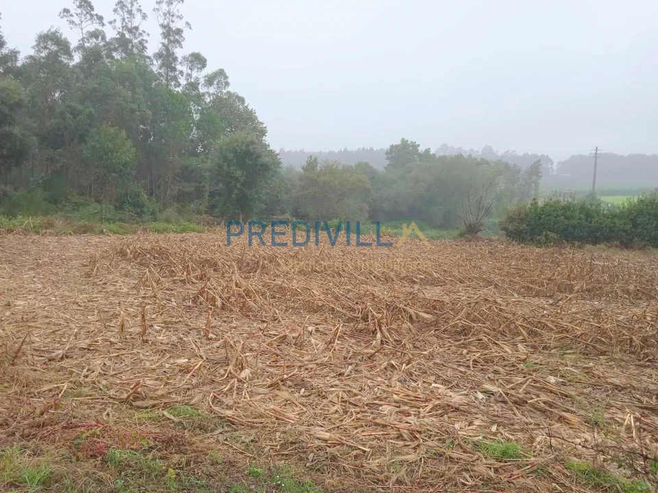 Terreno Misto para Venda em Vilar e Mosteiró Foto 4