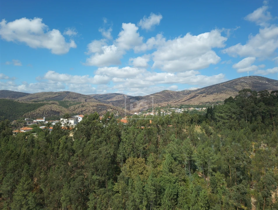 Terreno para Venda em Raiva, Pedorido e Paraíso Foto 14
