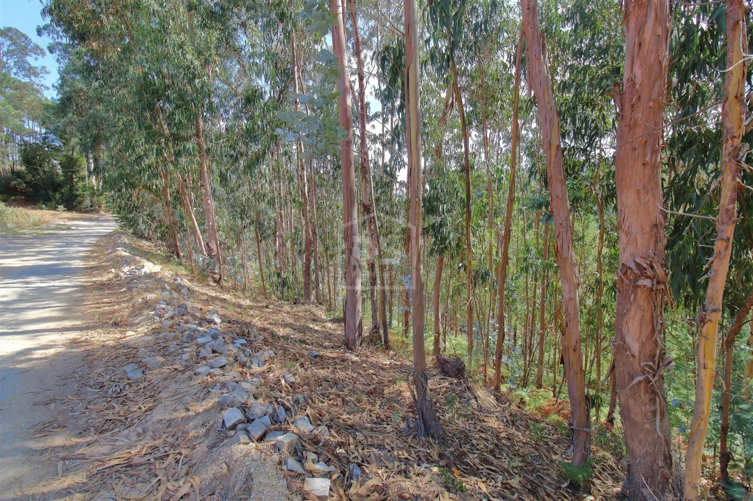 Terreno para Venda em Raiva, Pedorido e Paraíso Foto 7