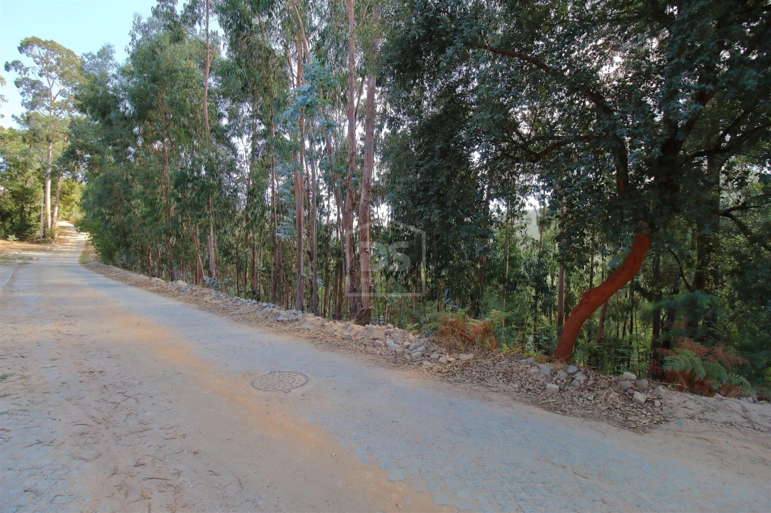 Terreno para Venda em Raiva, Pedorido e Paraíso Foto 4