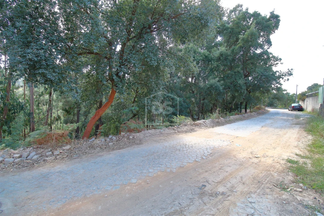 Terreno para Venda em Raiva, Pedorido e Paraíso Foto 3