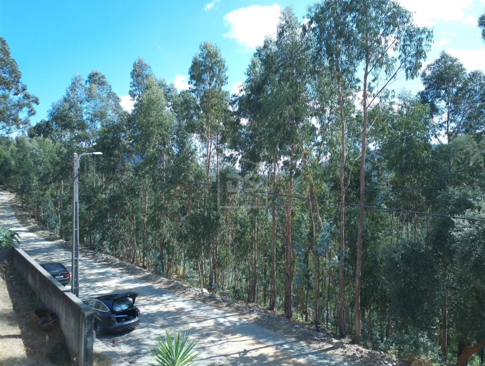 Terreno para Venda em Raiva, Pedorido e Paraíso Foto 1