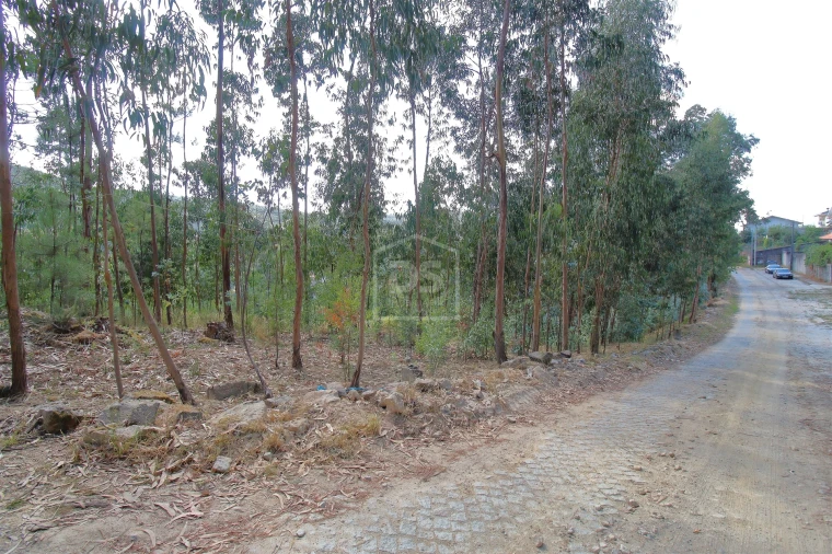 Terreno para Venda em Raiva, Pedorido e Paraíso Foto 11