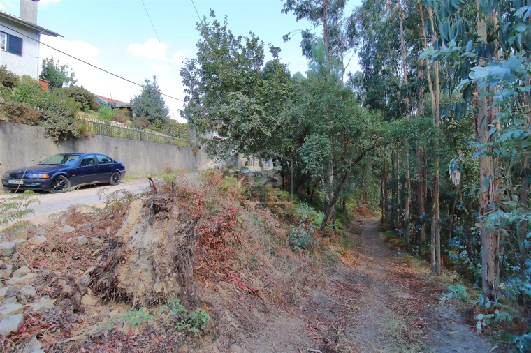 Terreno para Venda em Raiva, Pedorido e Paraíso Foto 5
