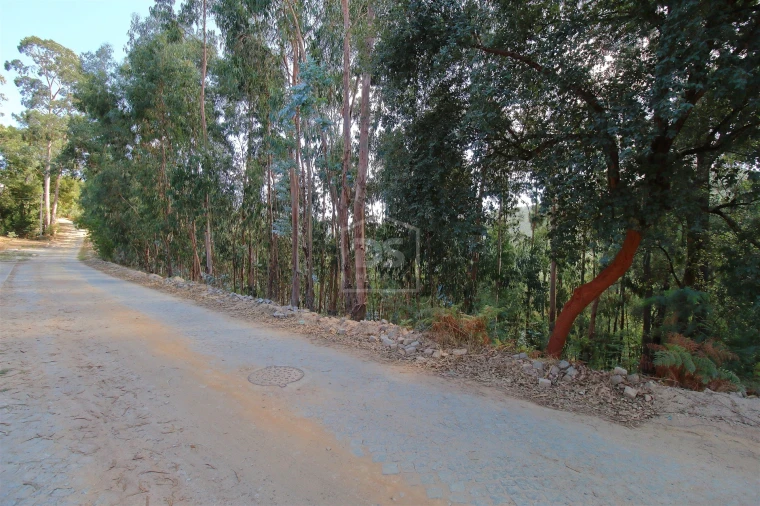 Terreno para Venda em Raiva, Pedorido e Paraíso Foto 4