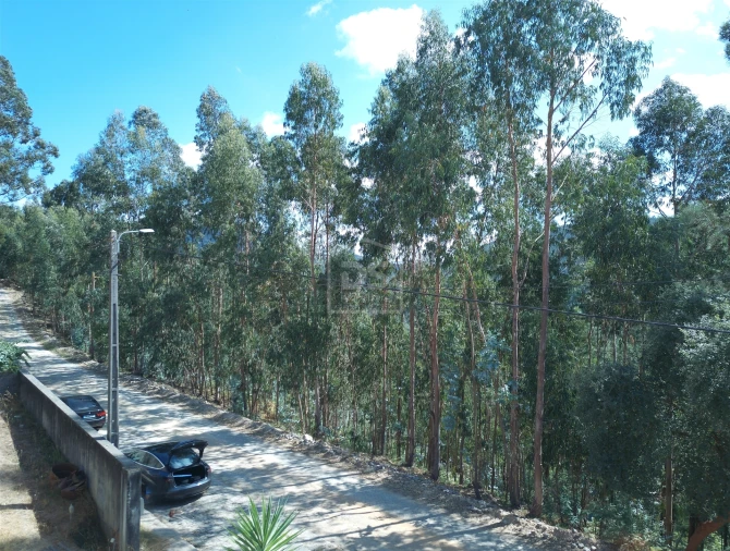 Terreno para Venda em Raiva, Pedorido e Paraíso