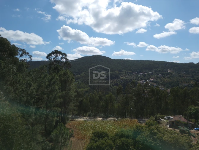 Terreno para Venda em Raiva, Pedorido e Paraíso Foto 13