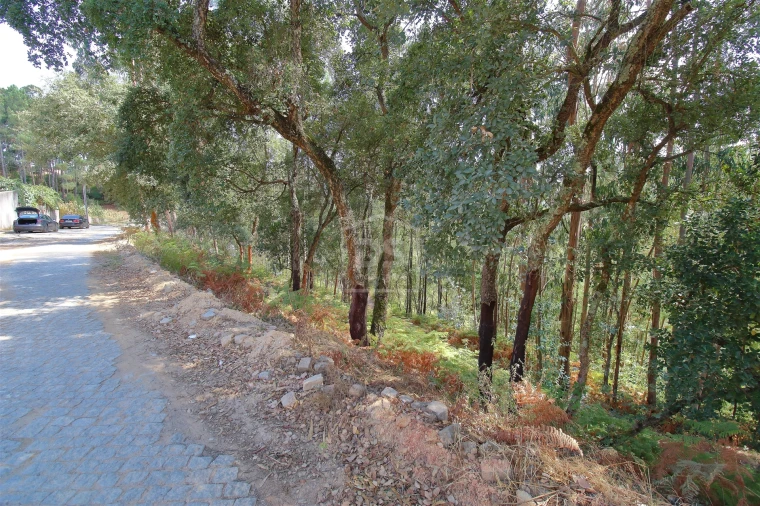 Terreno para Venda em Raiva, Pedorido e Paraíso Foto 6