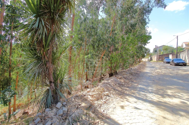 Terreno para Venda em Raiva, Pedorido e Paraíso Foto 9