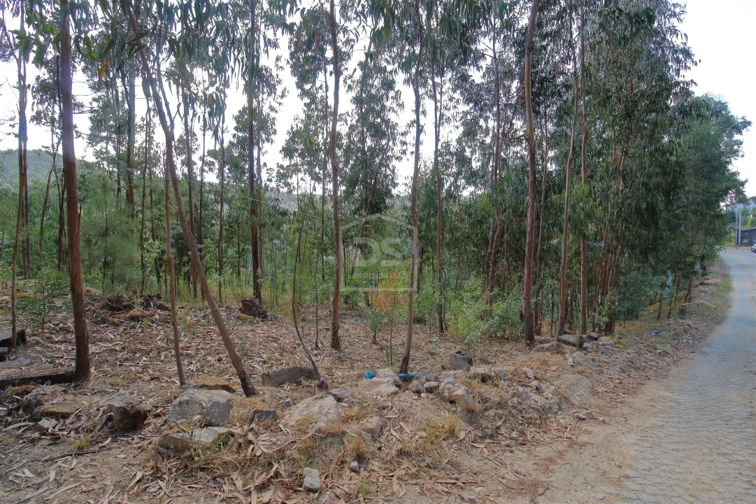Terreno para Venda em Raiva, Pedorido e Paraíso Foto 12