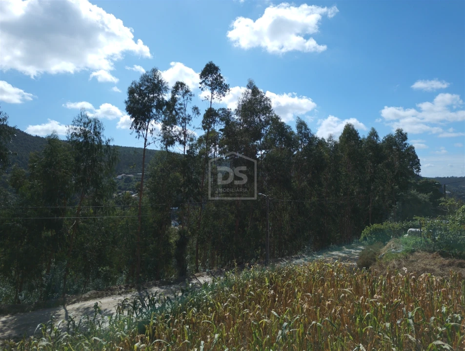Terreno para Venda em Raiva, Pedorido e Paraíso Foto 2
