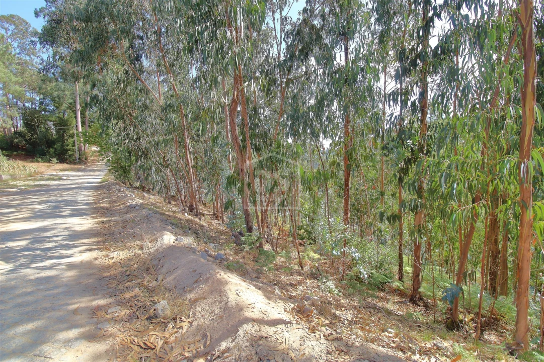 Terreno para Venda em Raiva, Pedorido e Paraíso Foto 8